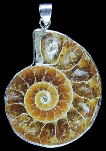 Fossil Ammonite Pendant - Million Years Old #89855